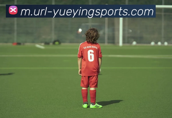 App Interface Preview